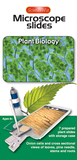 Microscope Slides - Plant Biology